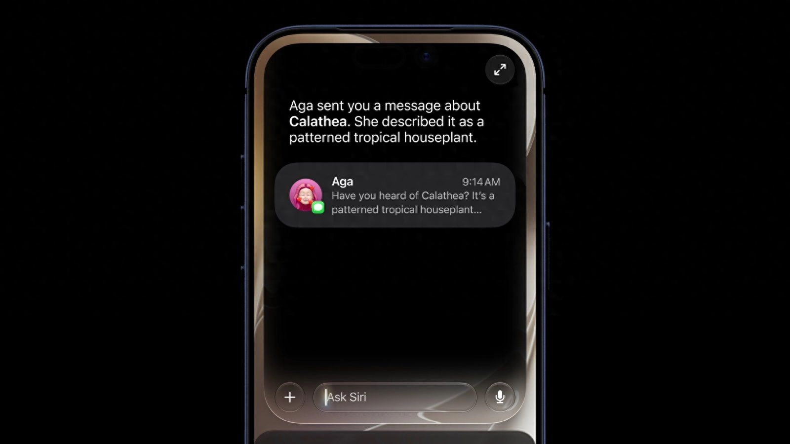苹果高管解释为何转向独立 Siri 聊天应用 - 万事屋