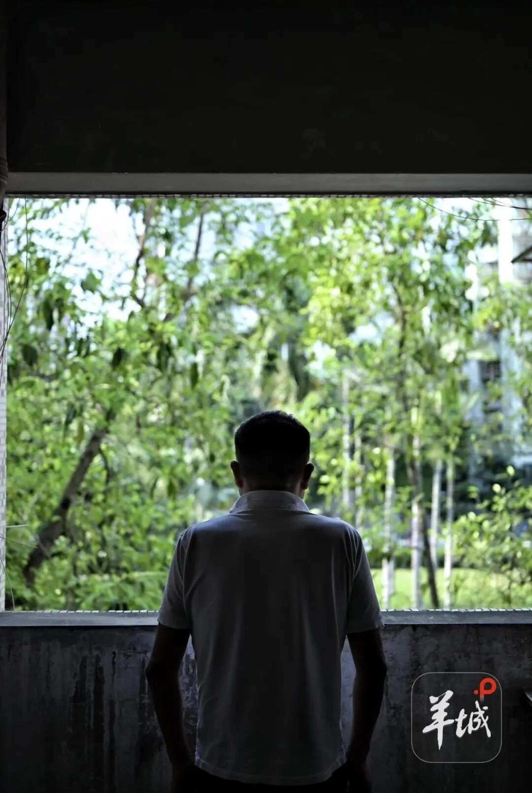 “鸿茅药酒事件”当事人谭秦东：没有了恨和怨，存钱排队等换肾；世界总会去伪存真，事情会越辩越明