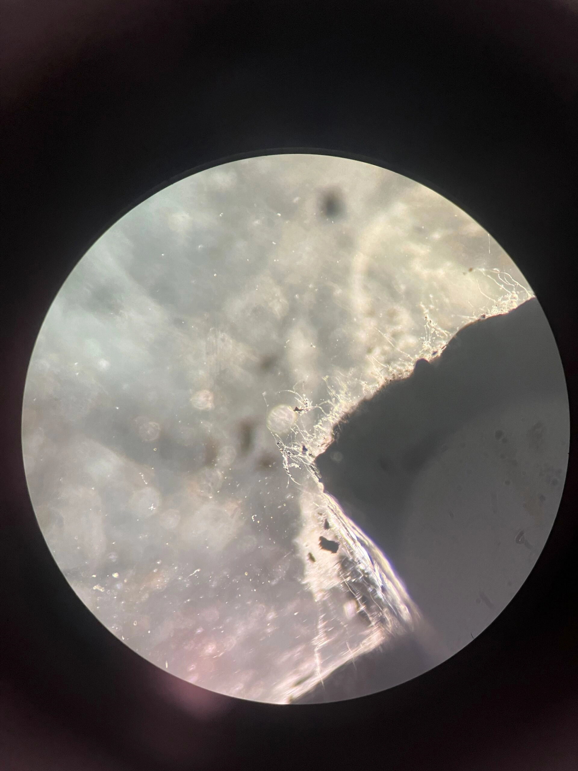 科学家在密歇根州地下1640英尺深处发现隐秘的真菌世界