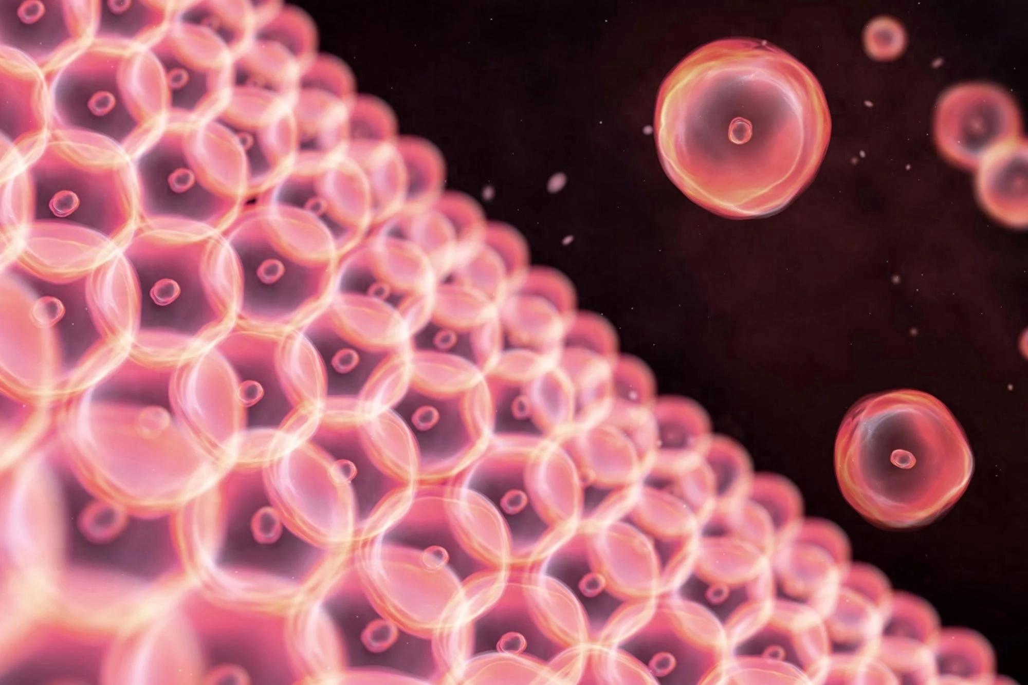 科学家发现人体皮肤中隐藏的≈微生物活动 - 万事屋