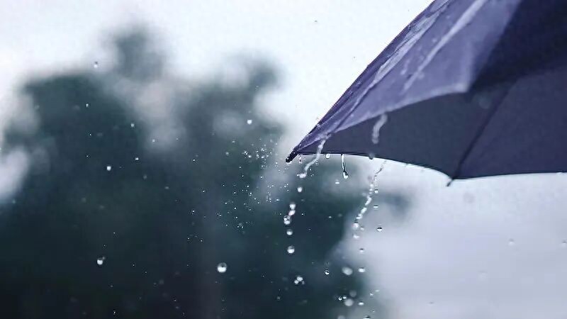 新一轮冷空气来袭!上海最低气温将跌至10℃出头!雨什么时候停? - 万事屋