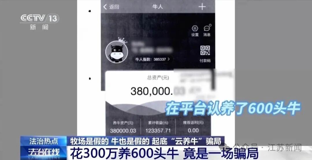 男子花300万元在线认养600头澳洲肉牛,结果牧场和牛都是假的!上海检方披露5.6亿骗局→