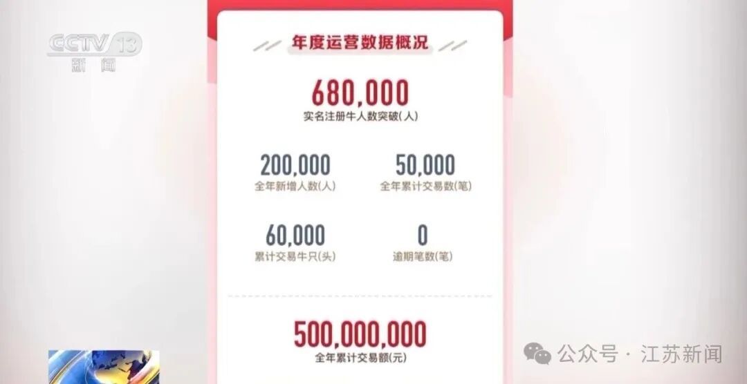 男子花300万元在线认养600头澳洲肉牛,结果牧场和牛都是假的!上海检方披露5.6亿骗局→