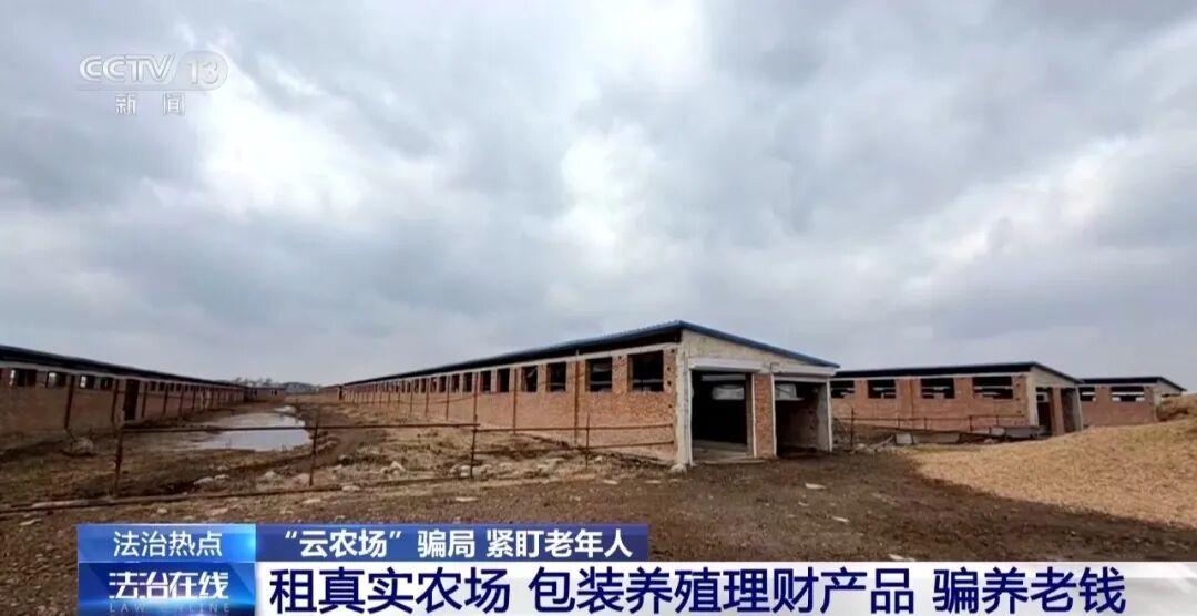 男子花300万元在线认养600头澳洲肉牛,结果牧场和牛都是假的!上海检方披露5.6亿骗局→