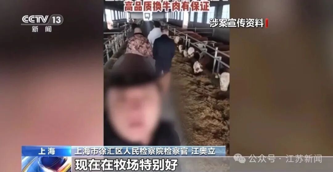 男子花300万元在线认养600头澳洲肉牛,结果牧场和牛都是假的!上海检方披露5.6亿骗局→