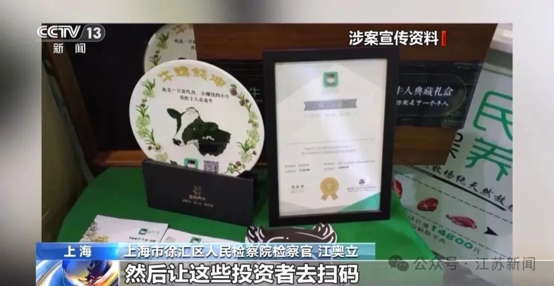 男子花300万元在线认养600头澳洲肉牛,结果牧场和牛都是假的!上海检方披露5.6亿骗局→