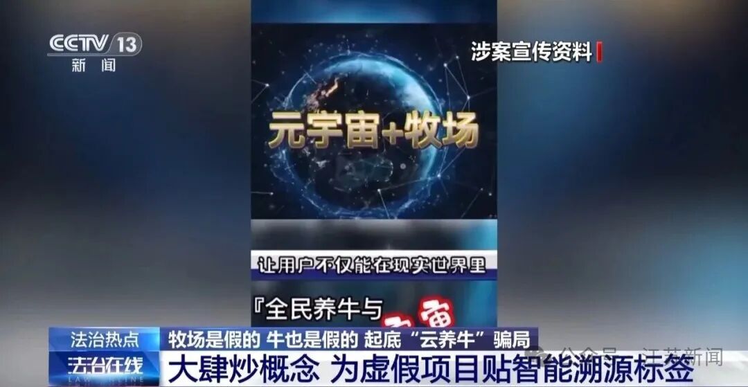 男子花300万元在线认养600头澳洲肉牛,结果牧场和牛都是假的!上海检方披露5.6亿骗局→