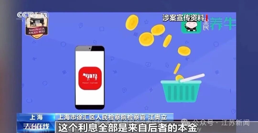 男子花300万元在线认养600头澳洲肉牛,结果牧场和牛都是假的!上海检方披露5.6亿骗局→