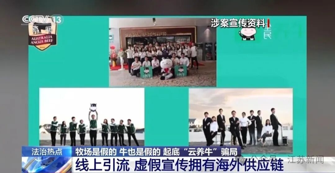 男子花300万元在线认养600头澳洲肉牛,结果牧场和牛都是假的!上海检方披露5.6亿骗局→