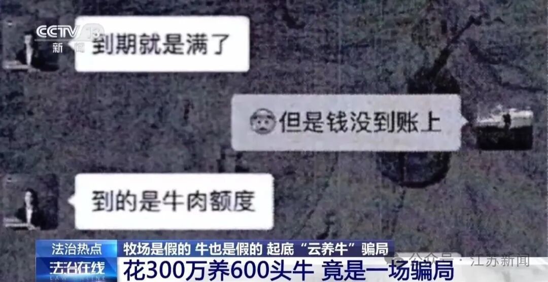 男子花300万元在线认养600头澳洲肉牛,结果牧场和牛都是假的!上海检方披露5.6亿骗局→