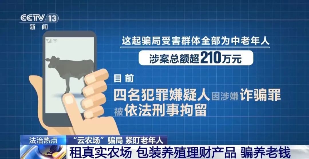 男子花300万元在线认养600头澳洲肉牛,结果牧场和牛都是假的!上海检方披露5.6亿骗局→