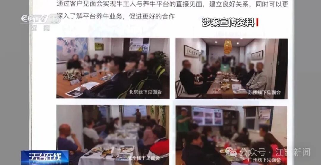 男子花300万元在线认养600头澳洲肉牛,结果牧场和牛都是假的!上海检方披露5.6亿骗局→