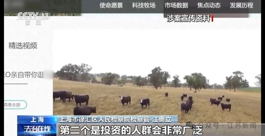 男子花300万元在线认养600头澳洲肉牛,结果牧场和牛都是假的!上海检方披露5.6亿骗局→