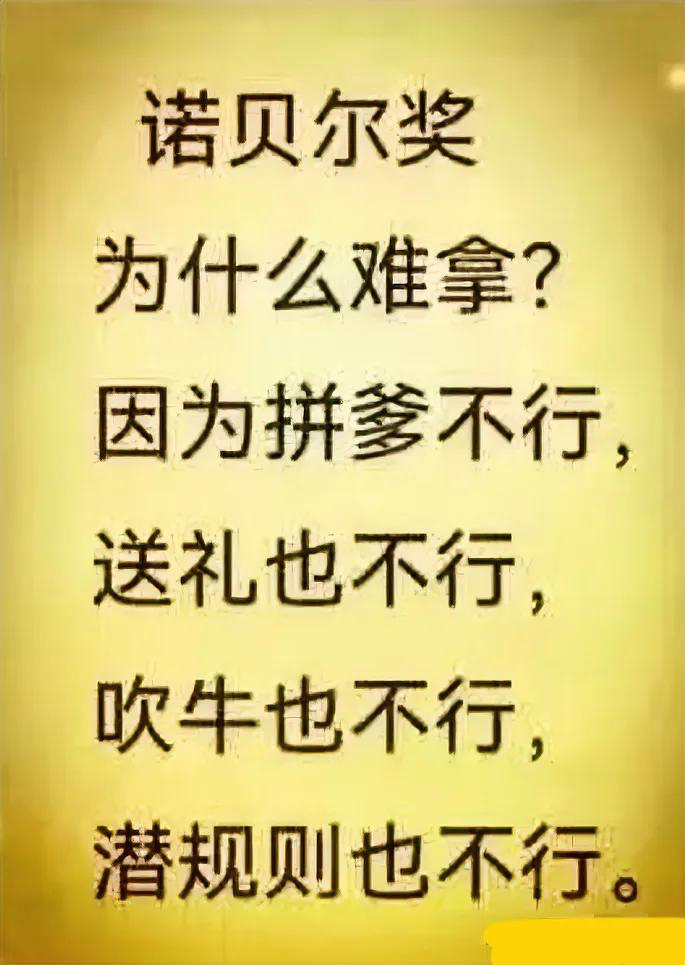 20261008204318816-image