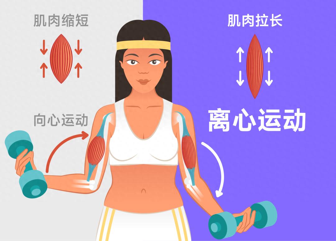 人民日报也在转载:最被低估的练肌肉运动,5分钟就有效! - 万事屋